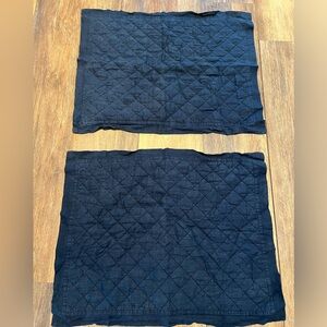 Pottery Barn Standard Shams ( 2 )